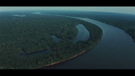 Petrobras on Twitter O Aldo do projeto Florestas de Valor que é