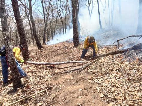 Gem Refuerza Gobierno De Michoac N Acciones Para Atender Incendios