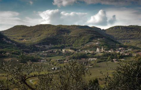 40+ Rotzo Stock Photos, Pictures & Royalty-Free Images - iStock