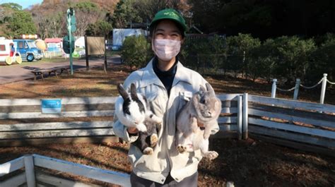 二兎を追って二兎を得る方法を飼育員さんに聞いた デイリーポータルz