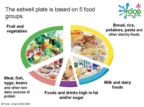 The Eatwell Plate Food A Fact Of Life