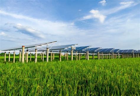 Jaipur Discom Floats Eois For Mw Solar Projects Under Kusum