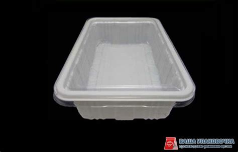 Пластиковые пищевые лотки - купить пластиковый пищевой лоток оптом, цена