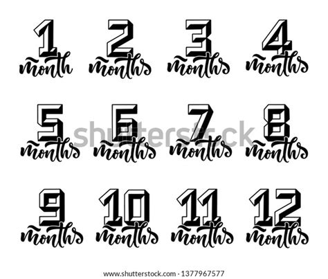 Lettering Months 3d Numbers New Born Stock Vector Royalty Free