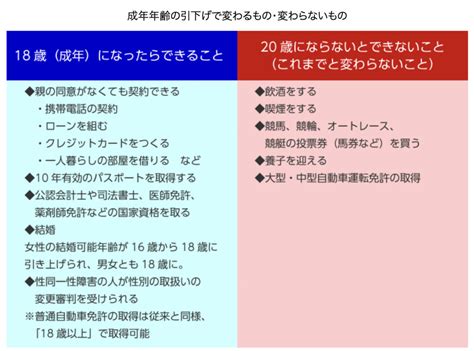 18歳から大人に成人年齢の引き下げで変わること子どもに起こり得るトラブルとは ソクラテスのたまご教育は未知にあふれている