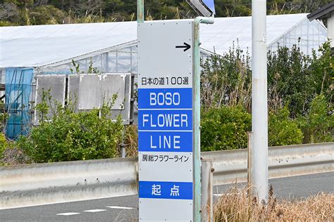 房総フラワーライン 南房総 花海街道