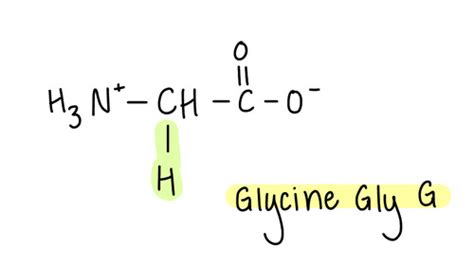 Biochem Amino Acid Quiz Flashcards Quizlet