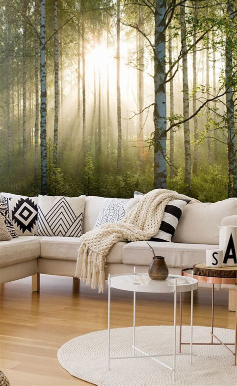 Birch Forest Sunlight Wallpaper Mural Wallsauce Us Tree Wallpaper