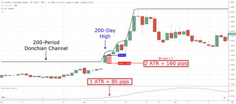 turtle trading rules    work today guest post