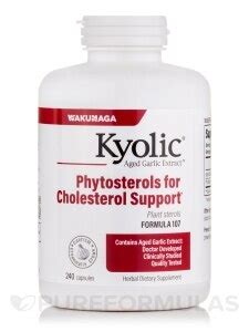 Kyolic® Aged Garlic Extract™ - Cholesterol Support Formula 107 - 240 ...