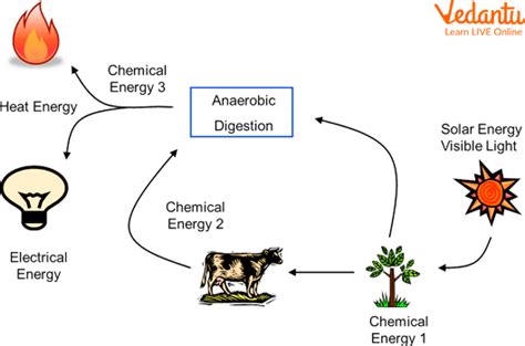 Energy Transformation: Learn Definition, Facts & Examples