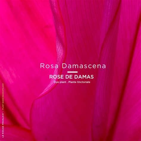 Le Nude Neïtsabes Le Rouge Français