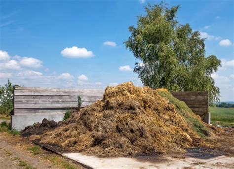 Un Grand Tas De Fumier Une Ferme Photo Stock Image Du Fumier Balle