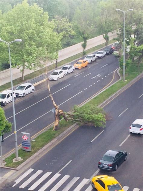 Ankara Da Kuvvetli R Zgardan Dolay At Lar U Tu