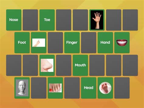 Body Parts Memory Game Combine Os Pares