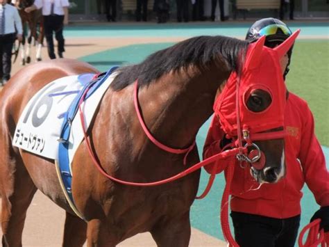 【レパードs前日オッズ】デュードヴァンが34倍で1番人気 競馬ニュース Netkeiba