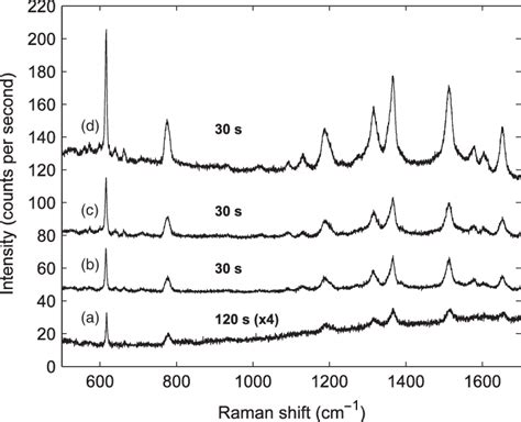 Raman Spectra Of R6g Adsorbed Onto The Surface Of Sample B For