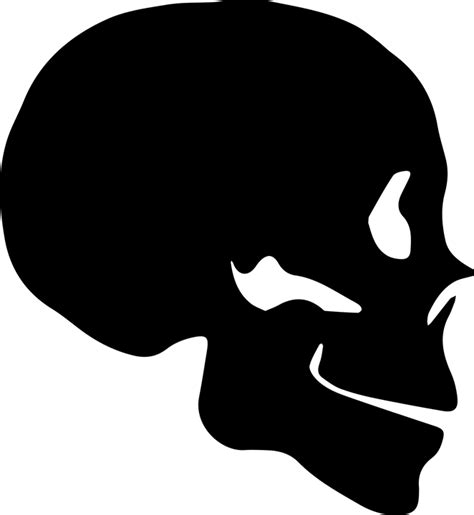 Skull Silhouette Bone Human skeleton - skull png download - 662*720 ...