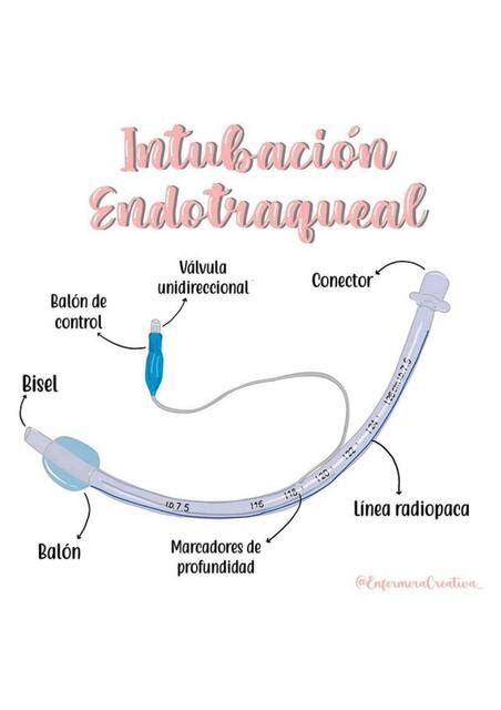 Intubación Endotraqueal Enfermería uDocz