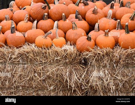 Farmstand Hi Res Stock Photography And Images Alamy