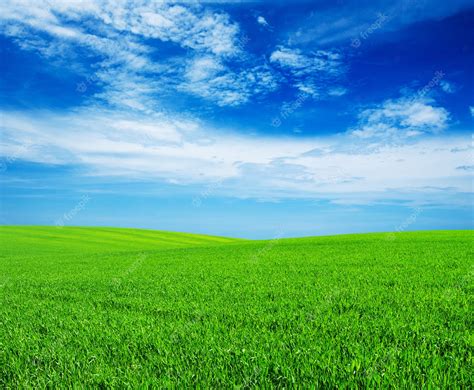 Premium Photo | Field 