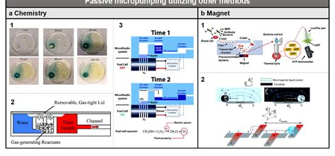 Figure From Passive Micropumping In Microfluidics For Point Of Care