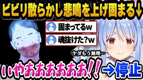 【新着】ホラゲでビビりまくりガチの悲鳴をあげ固まってしまうぺこらw 兎田ぺこら切り抜きまとめました