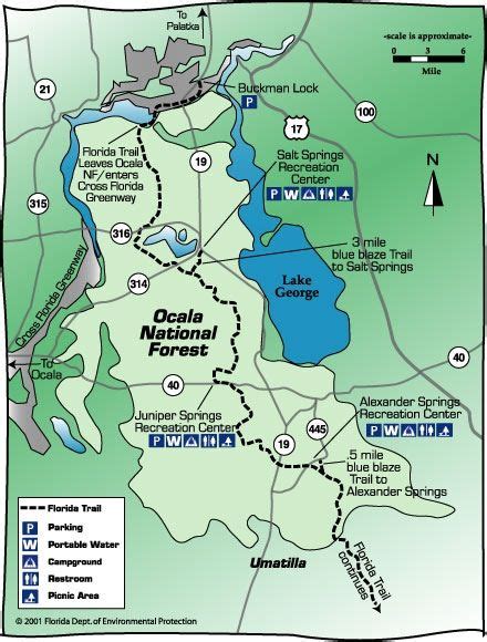 The Ocala National Forest Covers Approximately 607 Square Miles Of