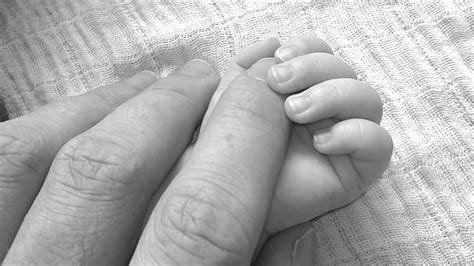 1920x1080 Baby Black And White Fingers Hands Holding Hands Love