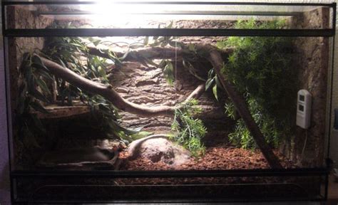 Attachmentphp 700×426 Snake Tank Hognose Snake Snake Terrarium