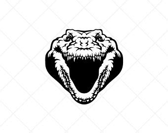 Gator Head Vector at Vectorified.com | Collection of Gator Head Vector ...