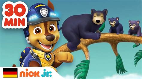 Paw Patrol Minuten Voller Rettungen Niedlicher Tiere Nick Jr