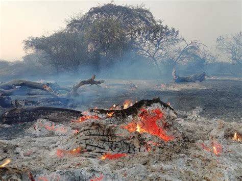 20 Incendios Forestales Ocurrieron Este Año En áreas Naturales