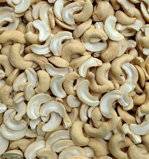 Raw Ivory JH Cashew Kernels At Best Price In New Delhi ID 24983698362