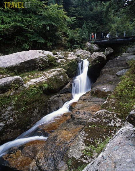 Yakushima Part 4 Waterfalls, giant cedars and naked men ... - Nature beautyfull waterfall