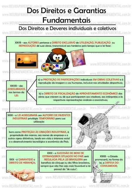 Mapa Mental Dos Direitos E Garantias Fundamentais Mema