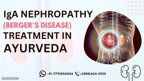 Iga Nephropathy Treatment In Ayurveda Bergers Disease Iga