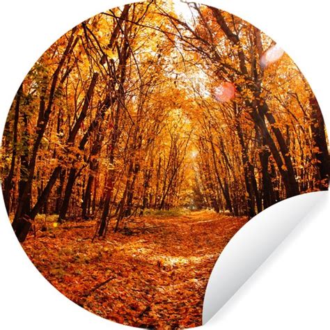 WallCircle Muurstickers Behangcirkel Herfst Bos Bladeren