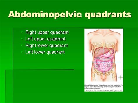 Right Upper Quadrant Diagram