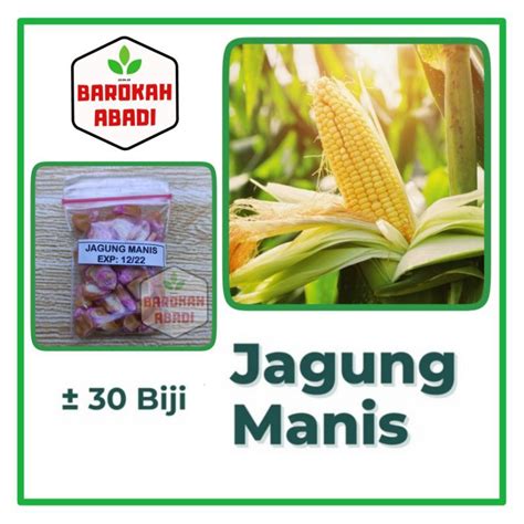 Jual 30 Benih Jagung Manis Super Unggul Baruna Sayuran Garuda Seed