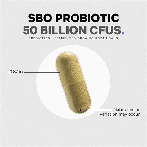 Codeage SBO Probiotics 50 Billion CFUs Multi Strain Soil Based