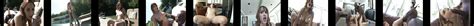 Randi Storm Lexington Steele Big Dick Anal Sex Outdoor XHamster