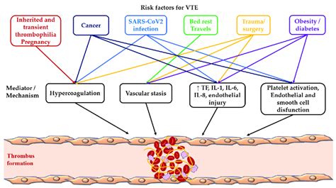 Risk Factors And Mediators Of Venous Thromboembolism Author Download Scientific Diagram