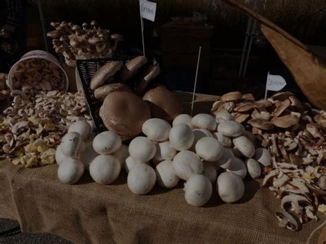 Kennett Square Mushroom Festival | The Cyr Team at REAL Broker, LLC