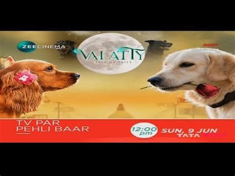 Tv Par Pehli Baar Valatty June At Pm On Zee Cinema Youtube