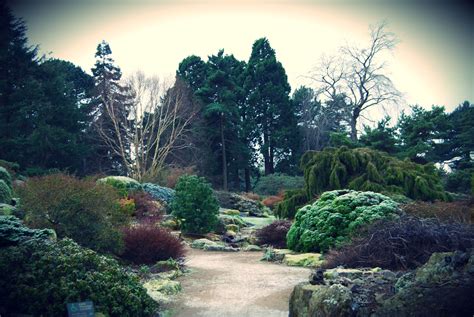 The Rock Garden Botanical Gardens Alpine Garden