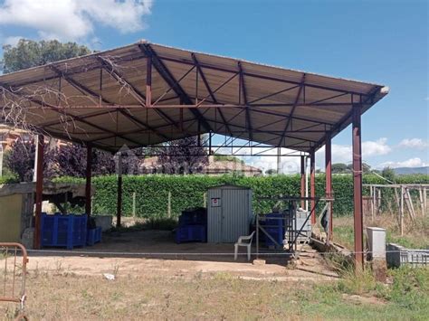 Terreno Agricolo Corso Della Repubblica Cisterna Di Latina Rif