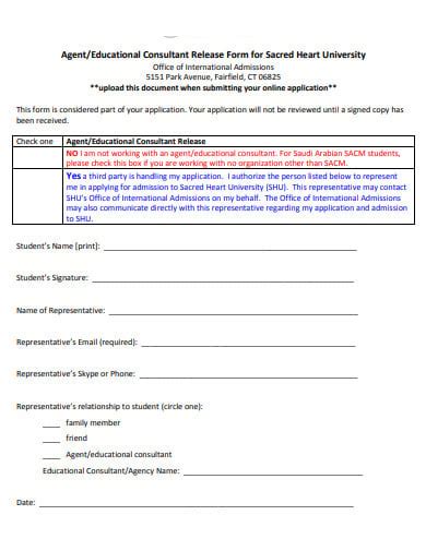 Free 19 Consultant Form Templates In Pdf