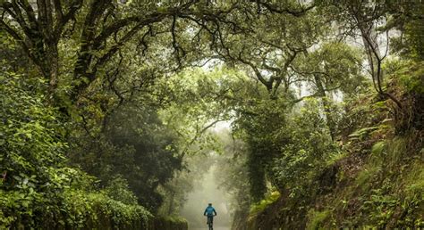 Sintra travel - Lonely Planet | Portugal, Europe