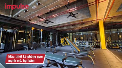 Phong C Ch Thi T K Kh Ng Gian Ph Ng Gym Hot Nh T N M Impulse Th Ng Hi U Setup
